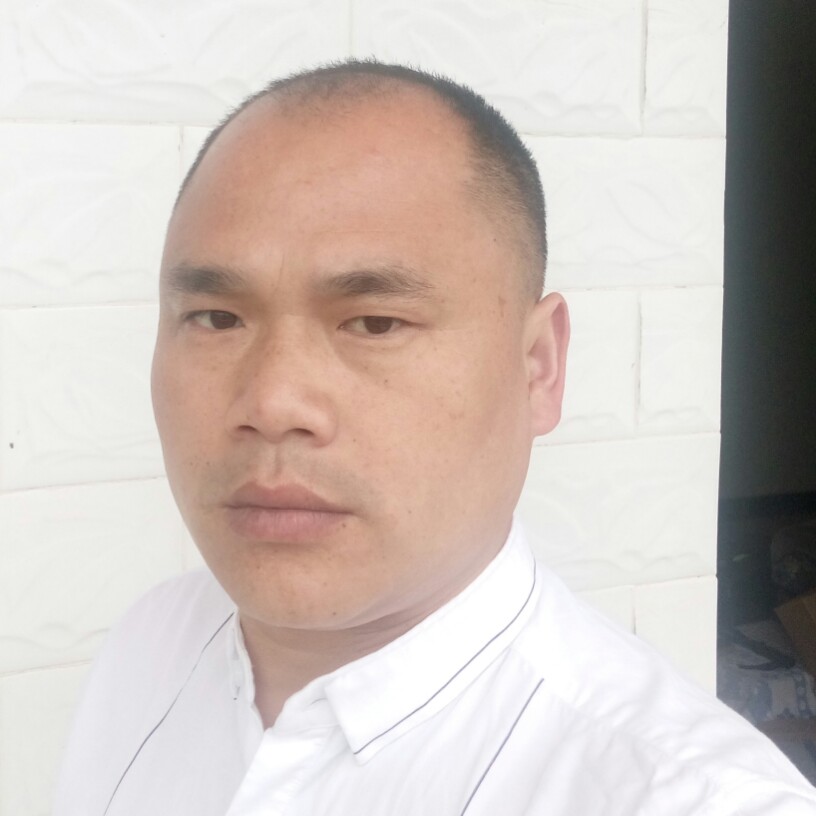 叶之城的照片