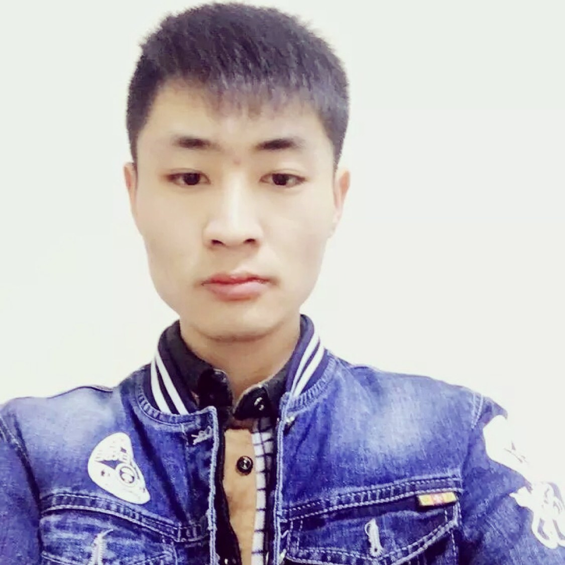 恬静笑草丛的照片