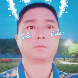 清曲还鲤鱼的照片