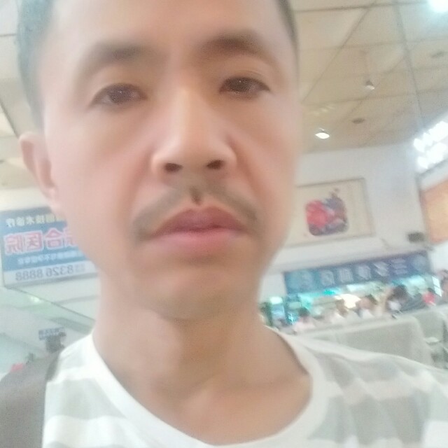 傲娇康乃馨的照片