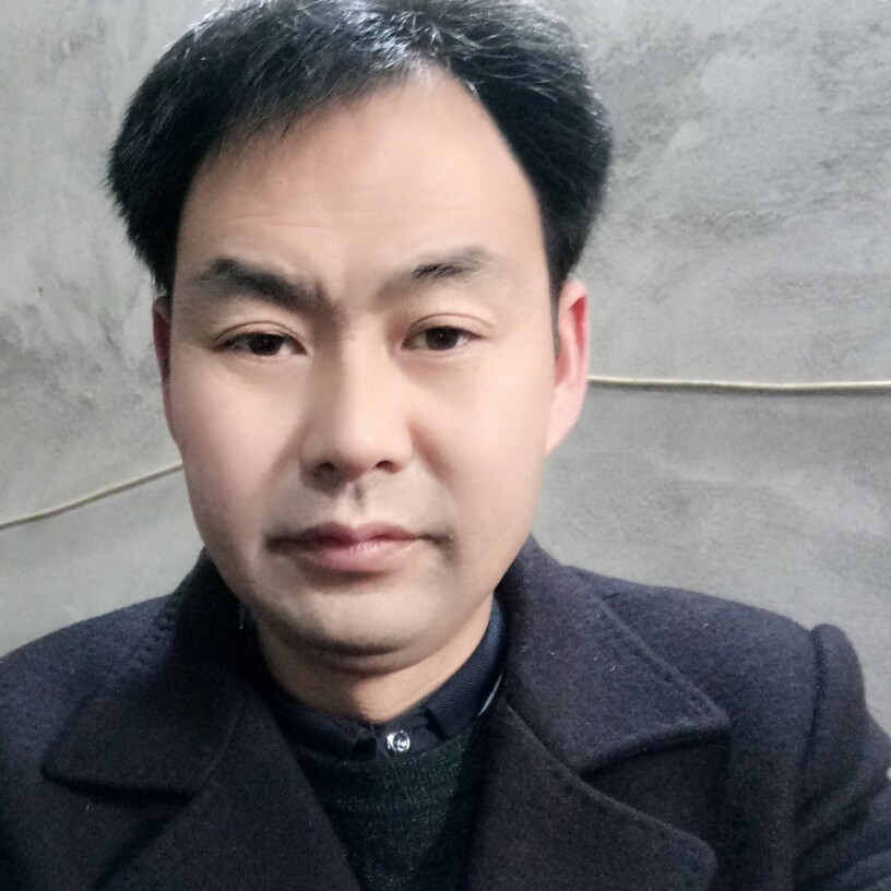 淡定的狼的照片