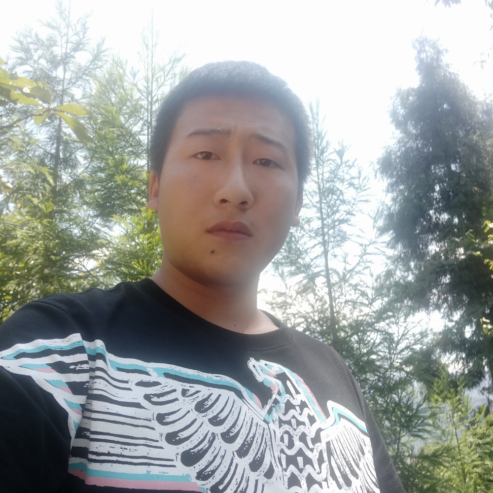 无绪的照片