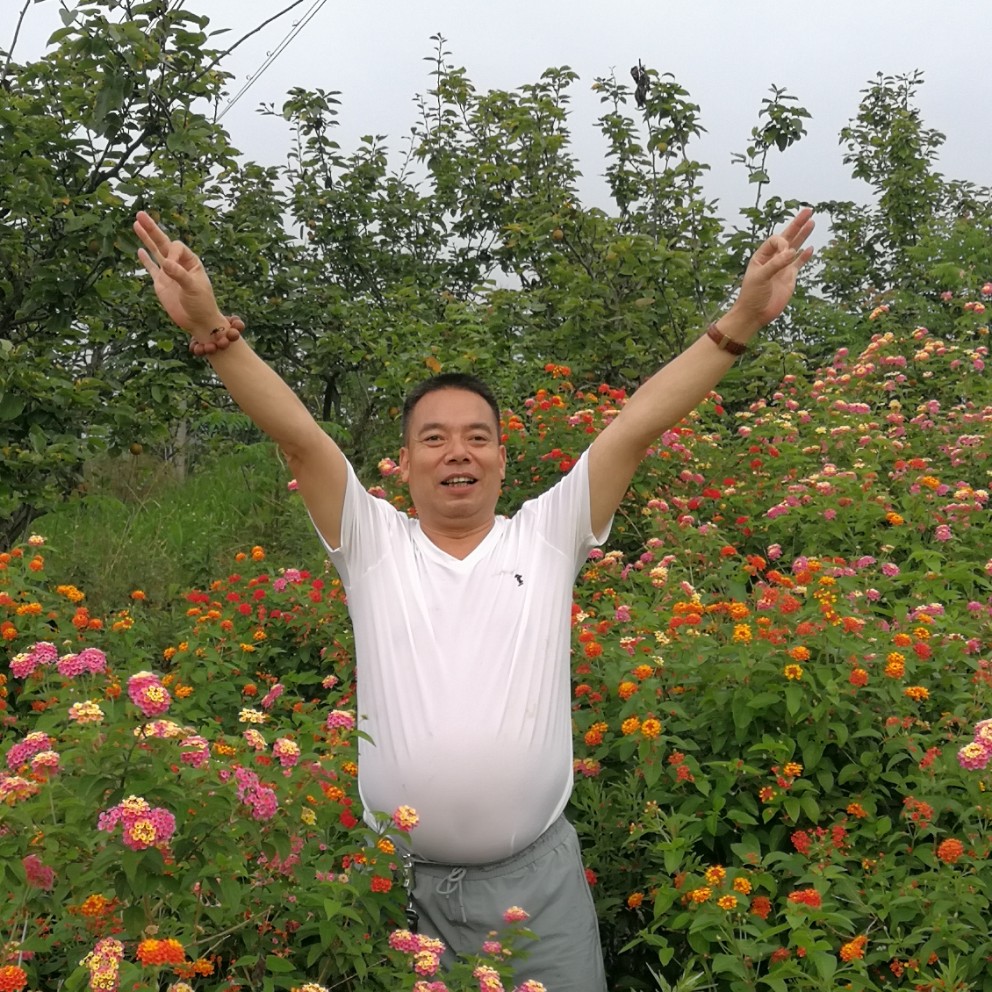 寄存灵魂的照片