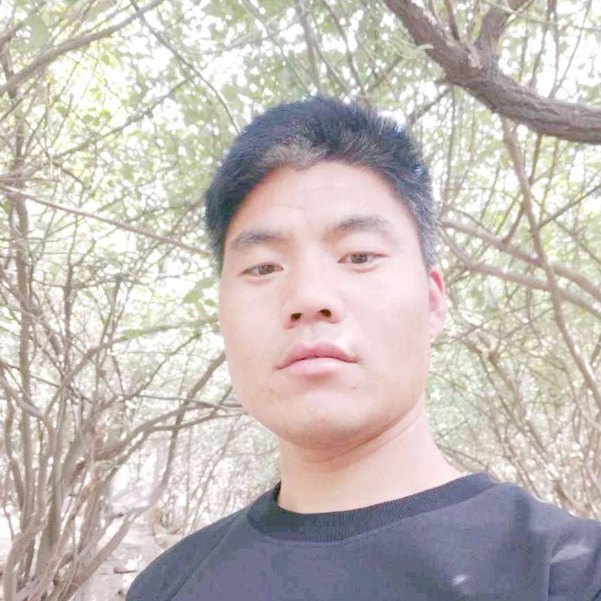 安详深拥哈密瓜的照片