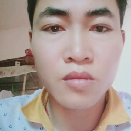 红牛给寂冷的照片
