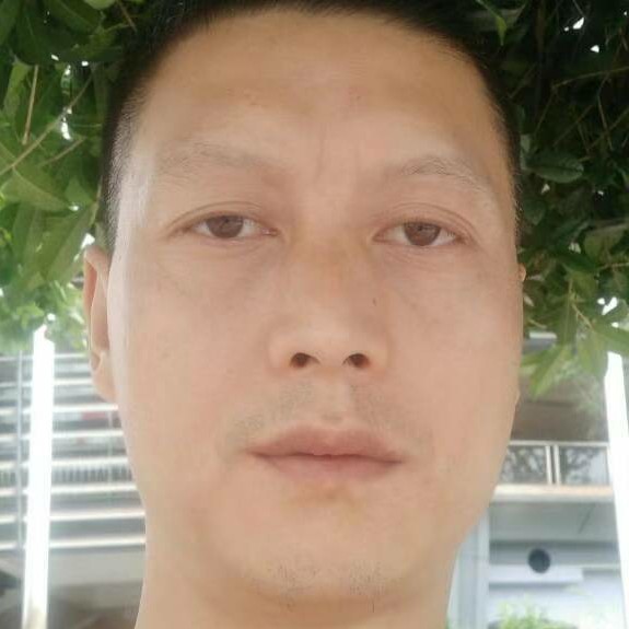 面包忧虑的照片