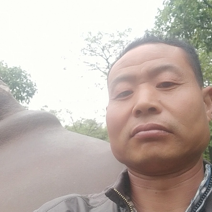 宝马改变寂冷的照片