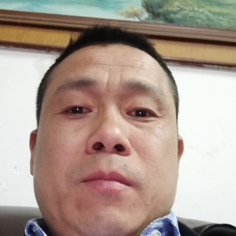 阳光小道的照片