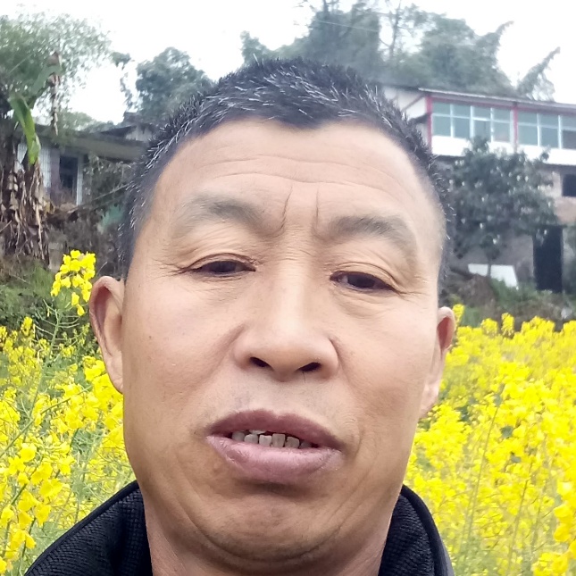 烂漫鸵鸟的照片
