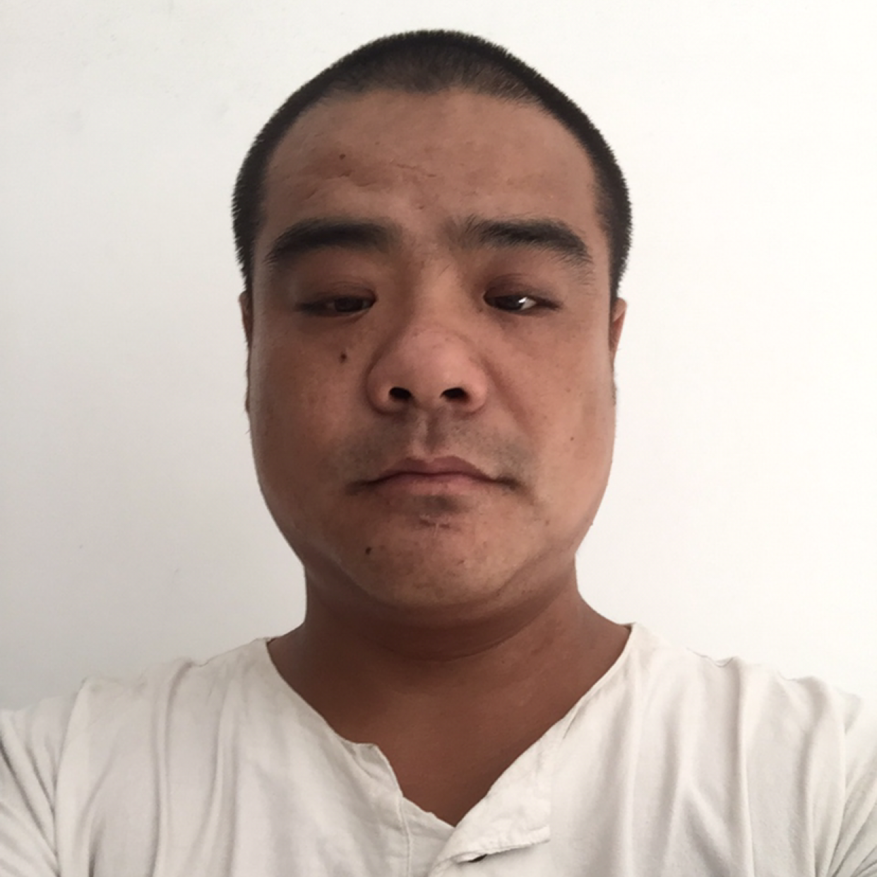 清秀浅吻小天鹅的照片