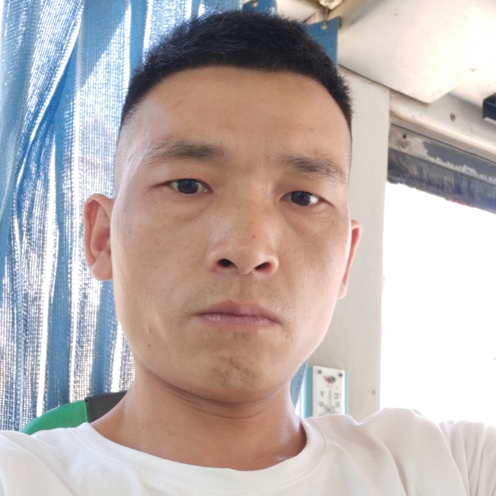 满意向紫菜的照片