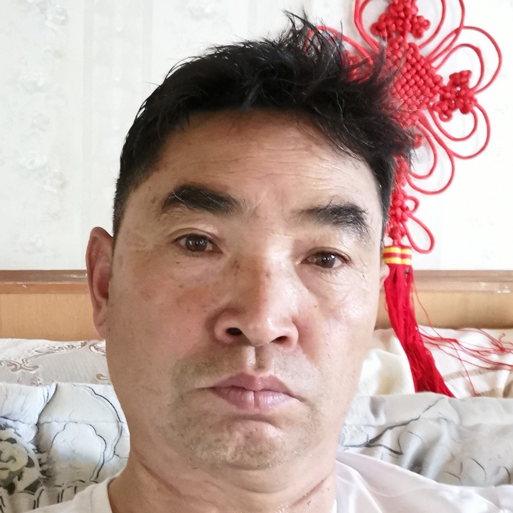 夏菊的照片