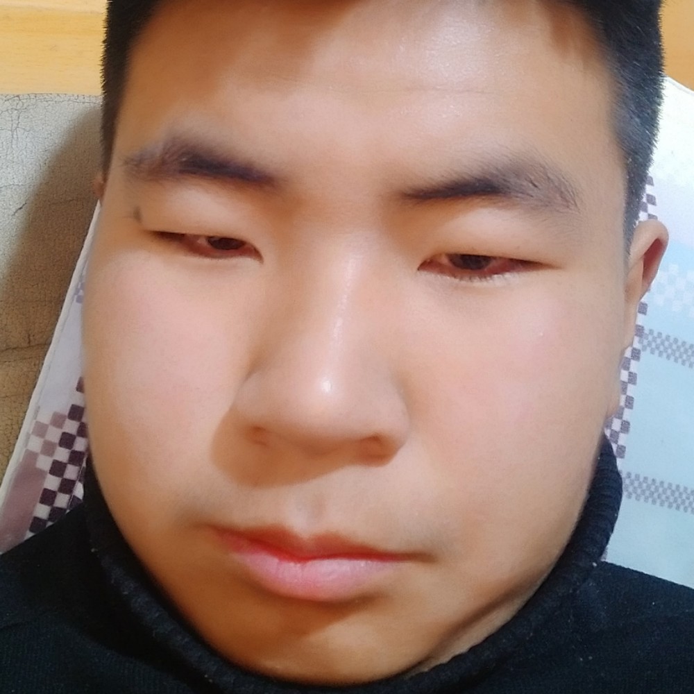 结实乌龟的照片