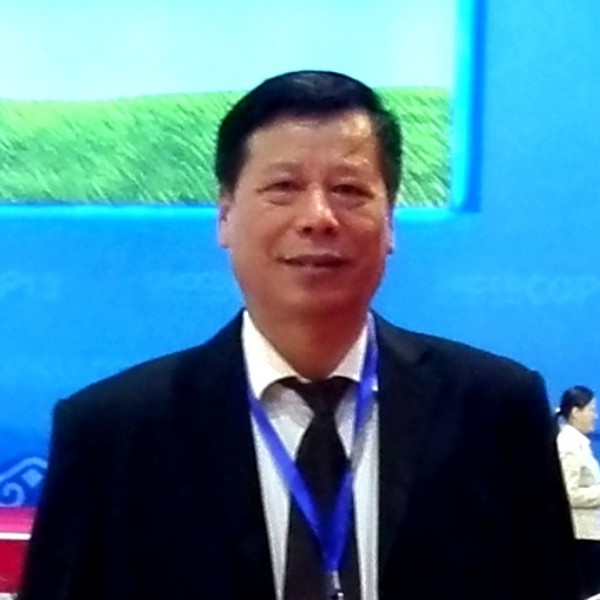 大漠胡杨—江的照片