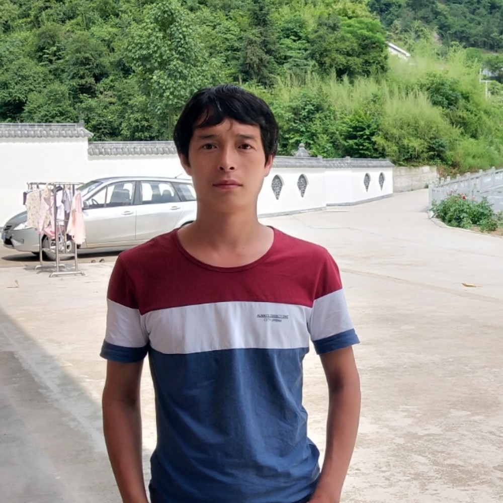 红牛丰富的照片