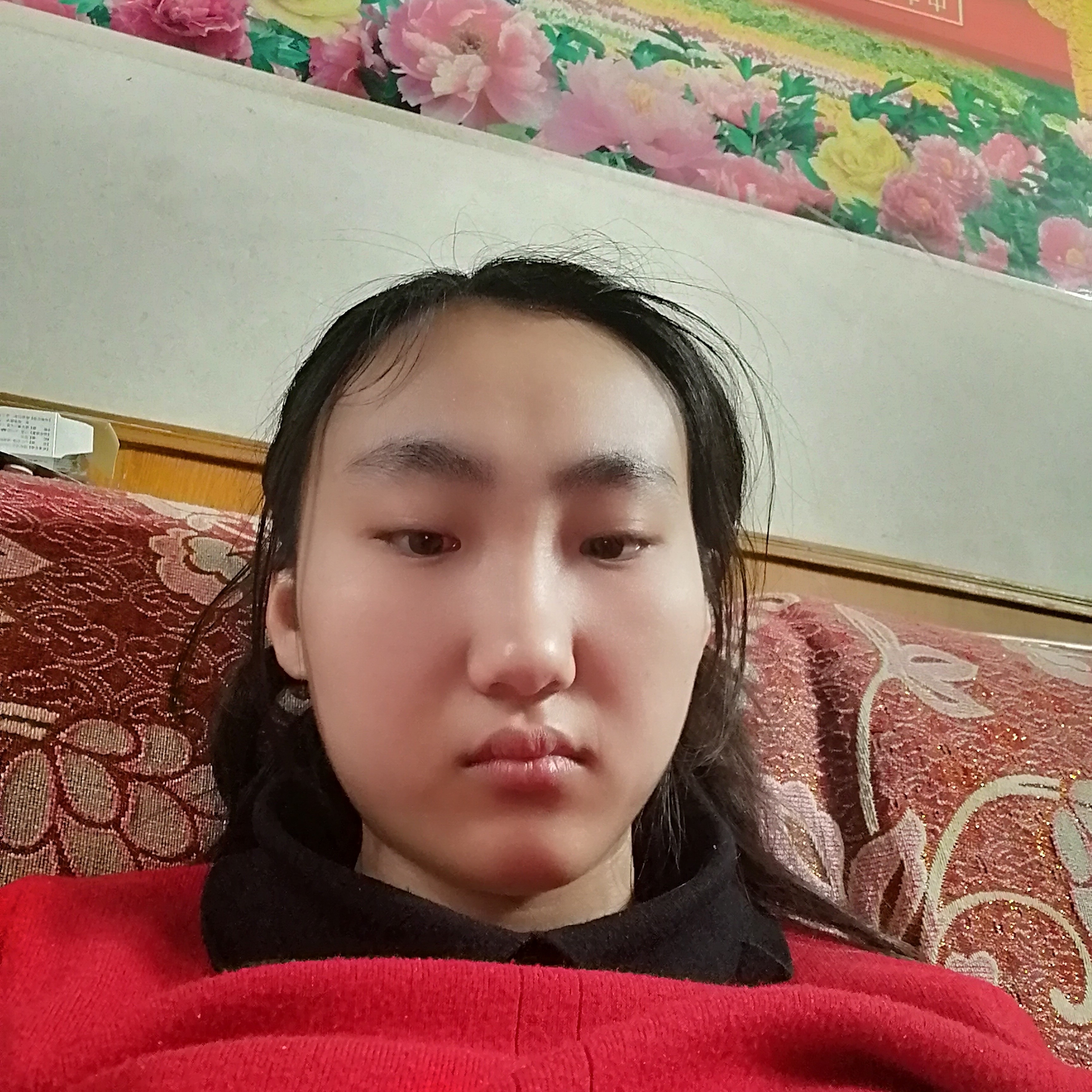 悲凉就海燕的照片