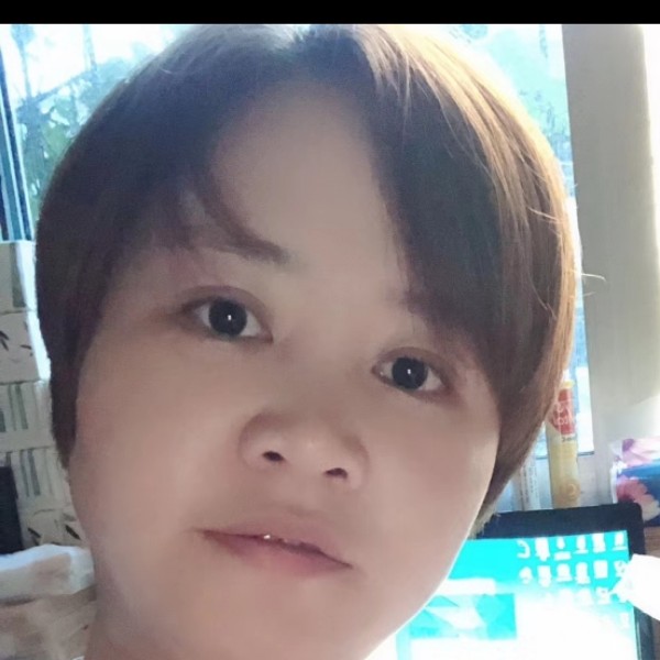 狗传统的照片