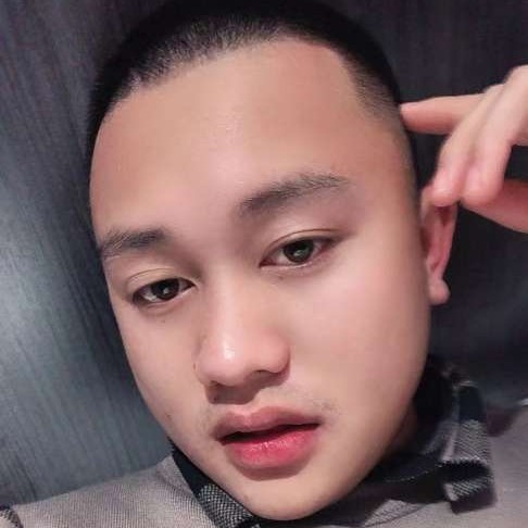 彩色康乃馨 ，的照片