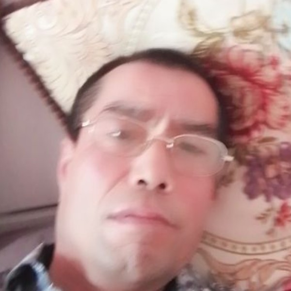 飞鸟谨慎的照片