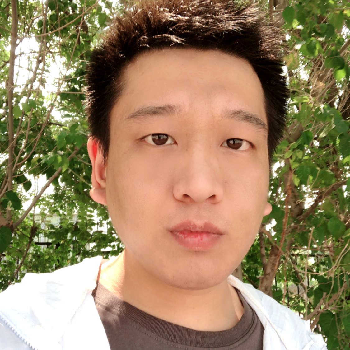 长风917的照片