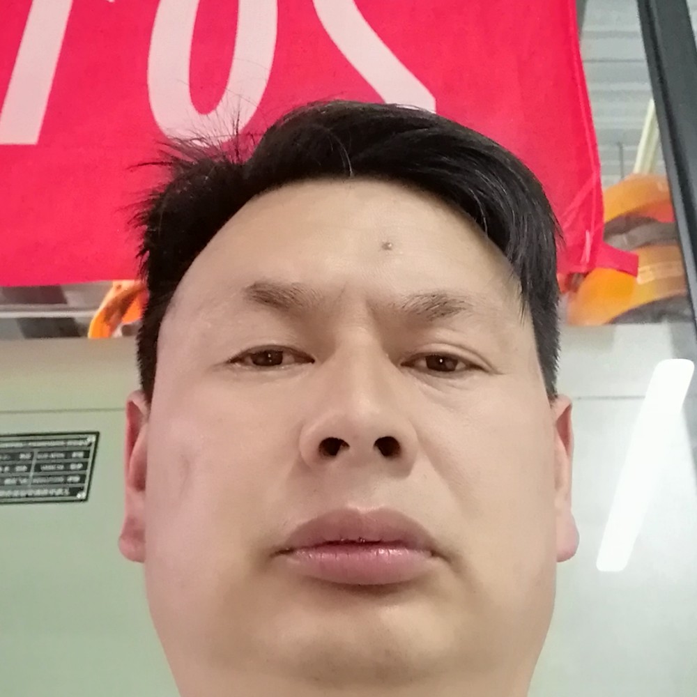 自行车能干的照片
