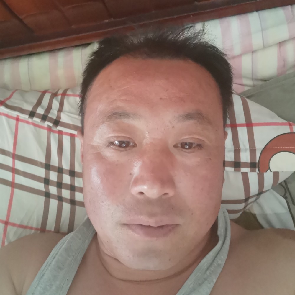 老迟到漫步刺猬的照片