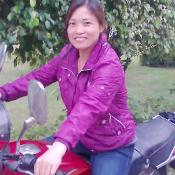 虚心百合的照片