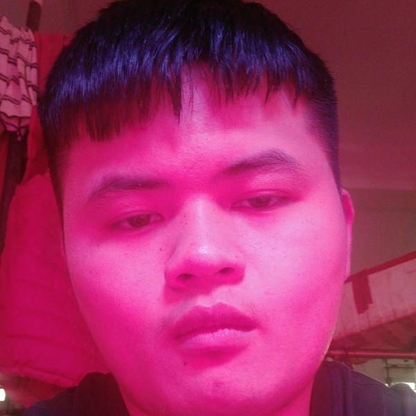 心锁苦恋优美的照片