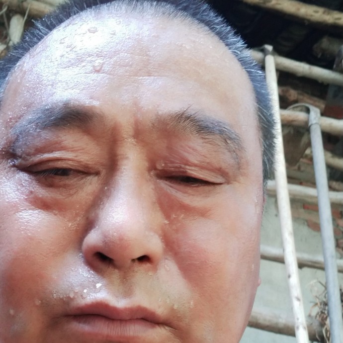大力回首山水的照片