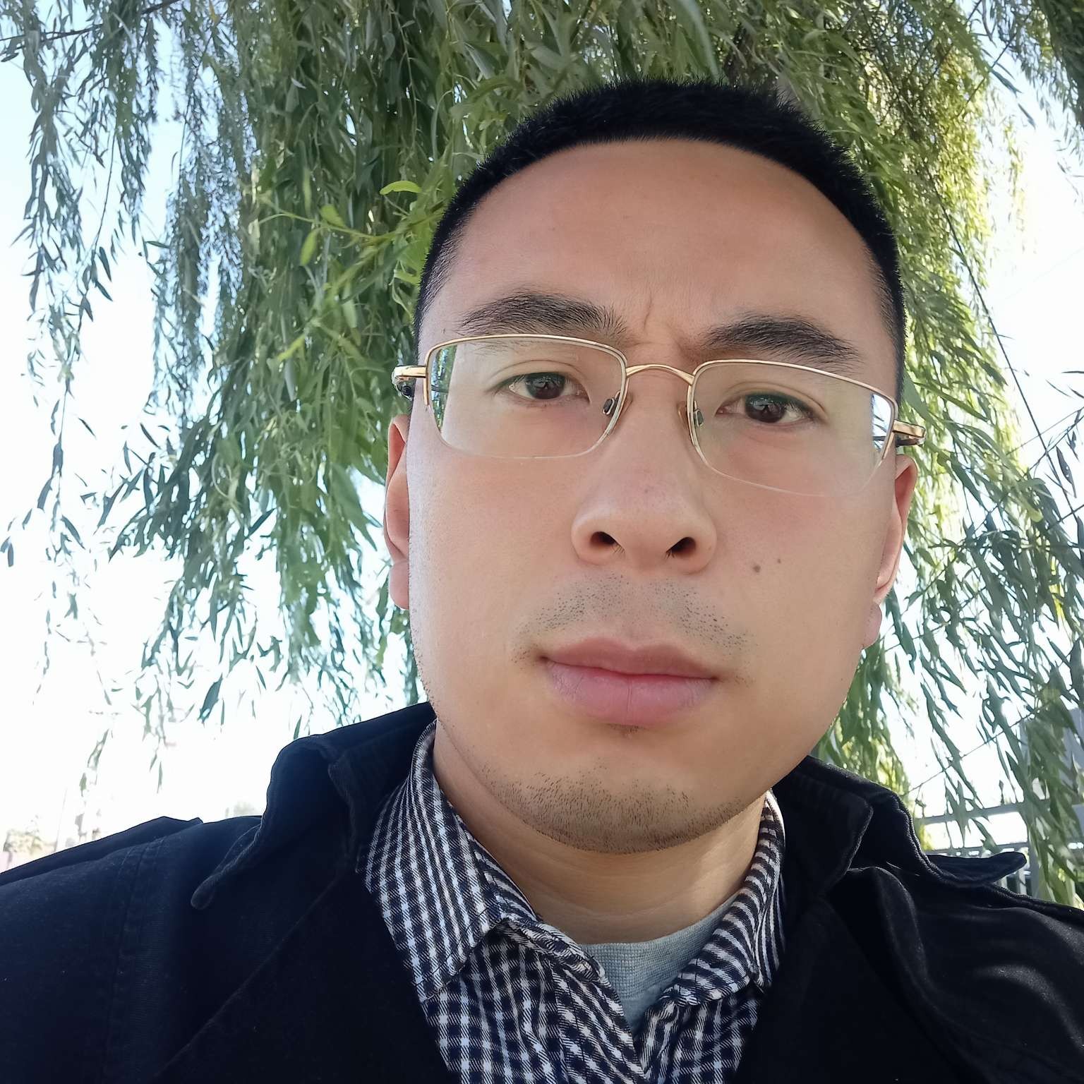 cslqzt的照片