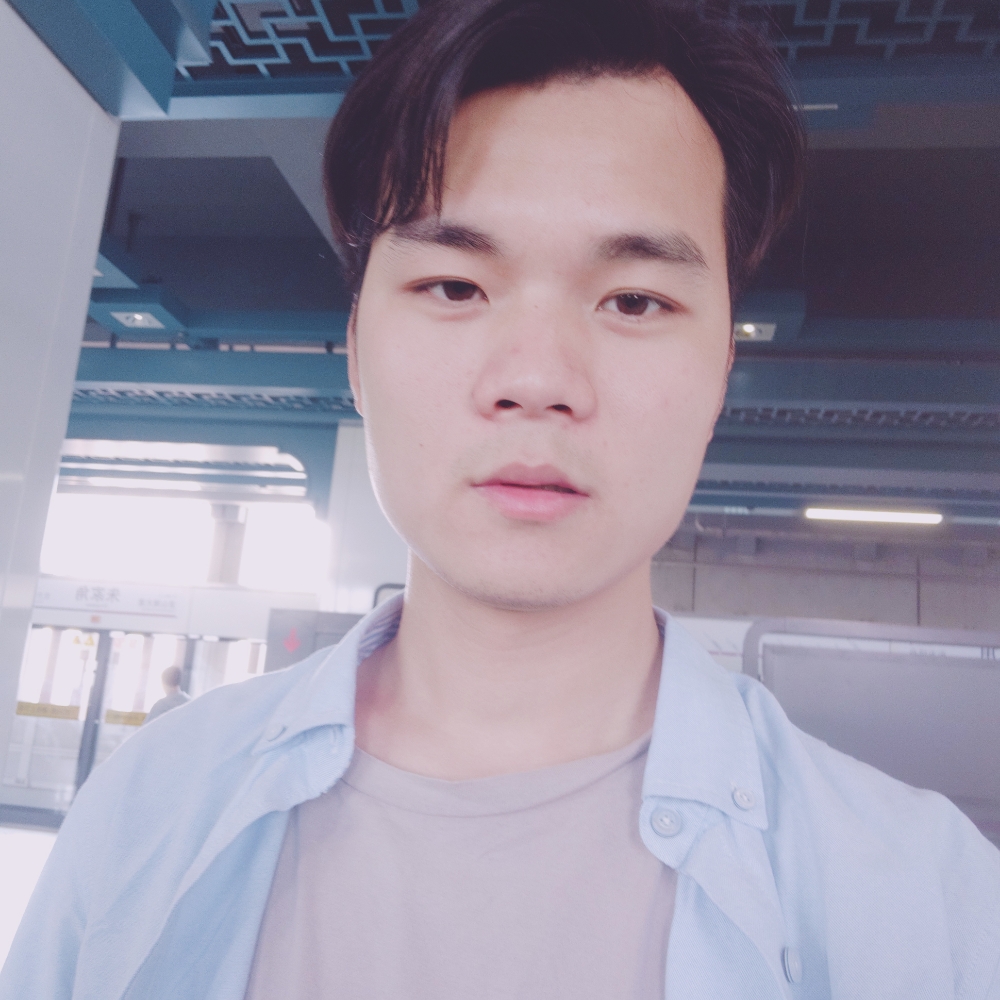 掉落凡间的猪的照片