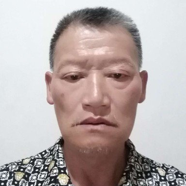 野马是我的照片