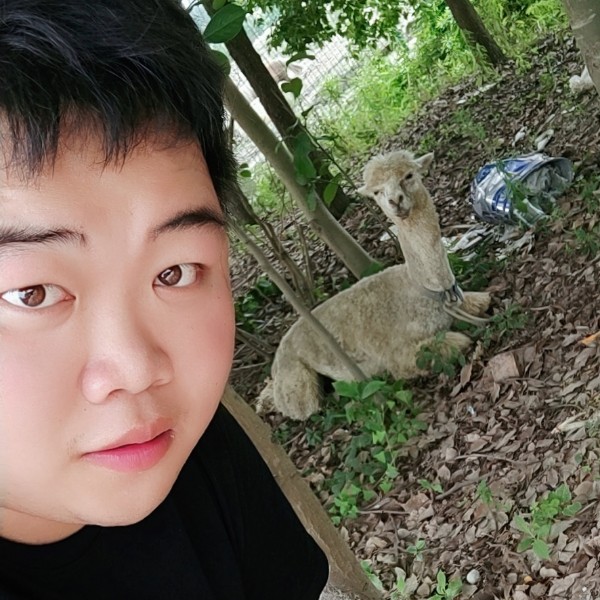 Mr Tree hole的照片