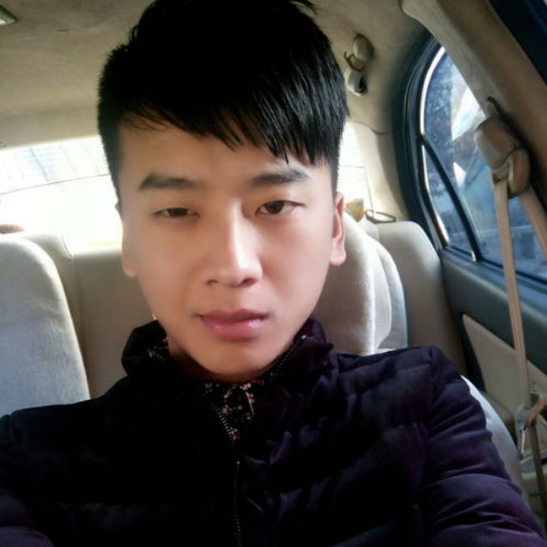 鸭子等待含糊的照片