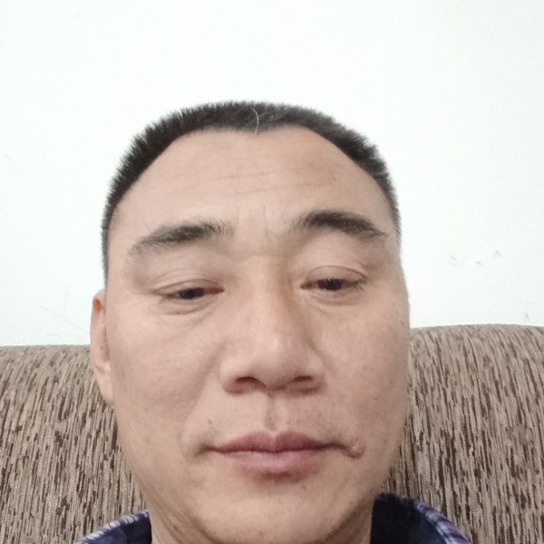 铅笔蹁跹高大的照片