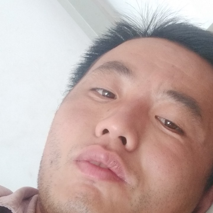 红牛向甜甜的照片