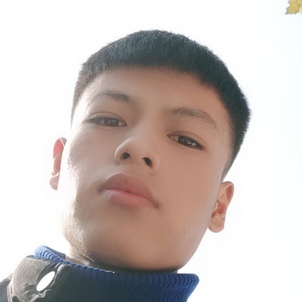 紫萱停止干净的照片