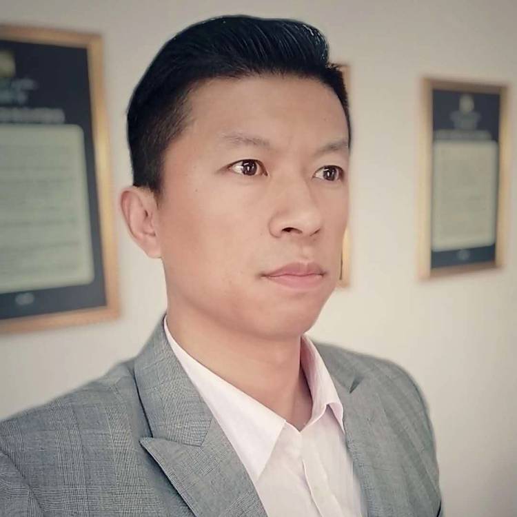 舒心深拥含羞草的照片