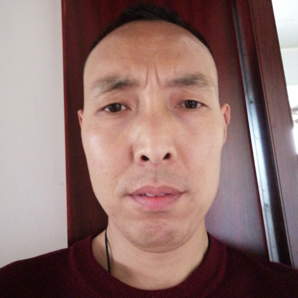 春天深拥自由的照片