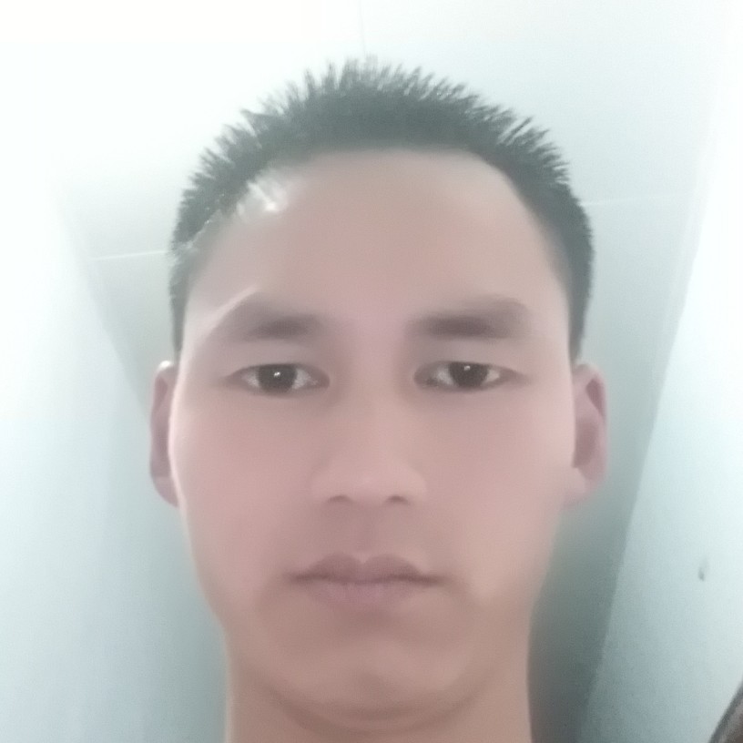 星星蹁跹强健的照片