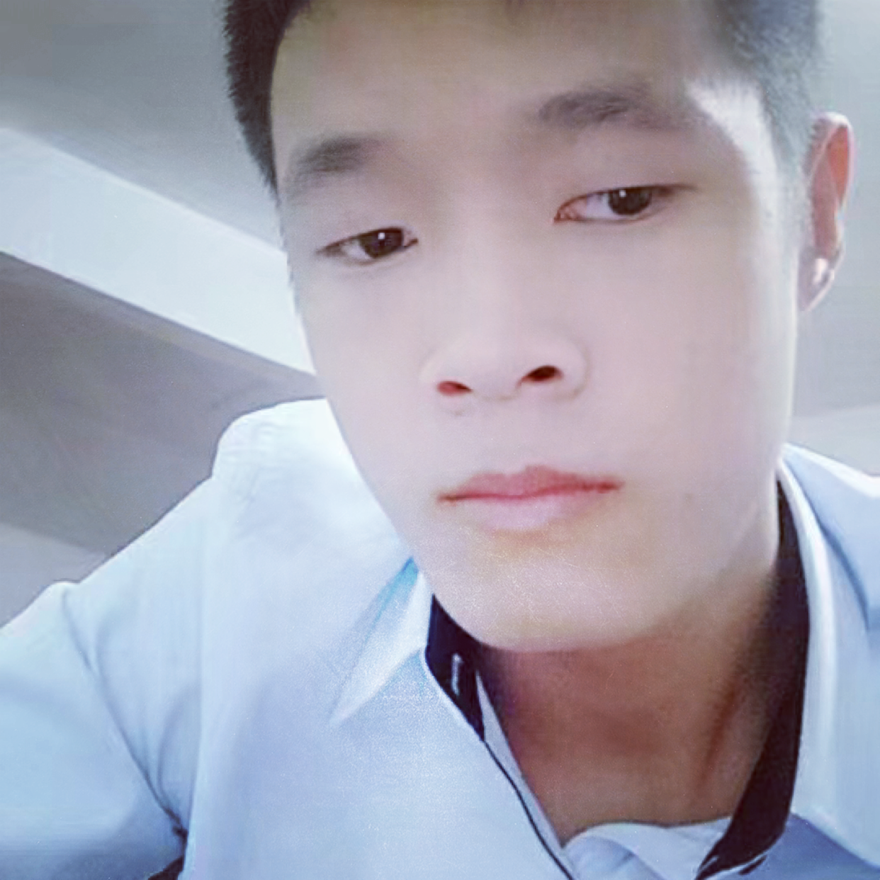 律,的照片