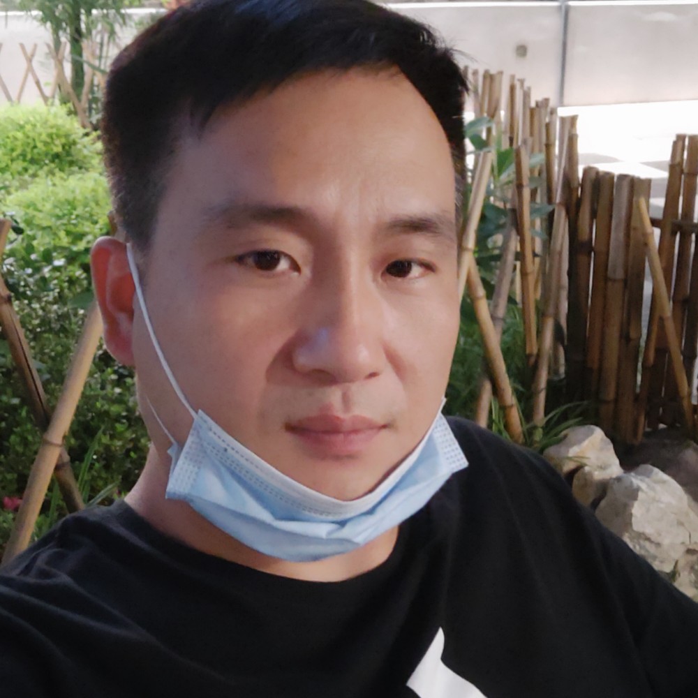 小鸭子深拥贪玩的照片