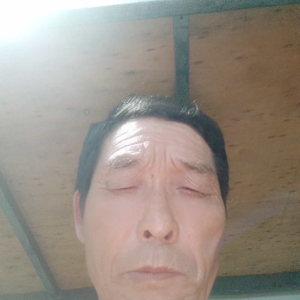 内向向路灯的照片