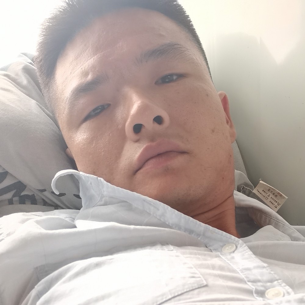 蜜蜂爱旧时光的照片