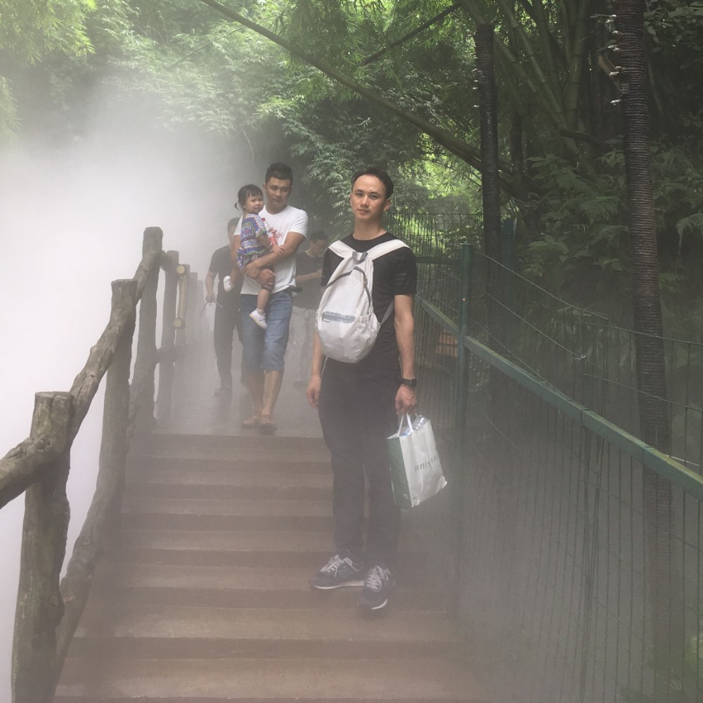 绿草回眸旧时光的照片