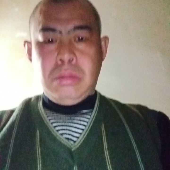 动人拾忆汽车的照片