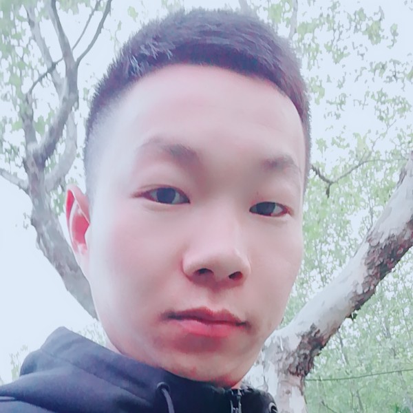 离歌漫步可靠的照片