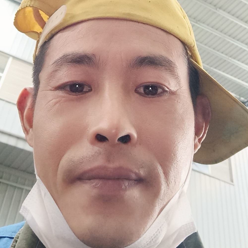 W 十一的照片