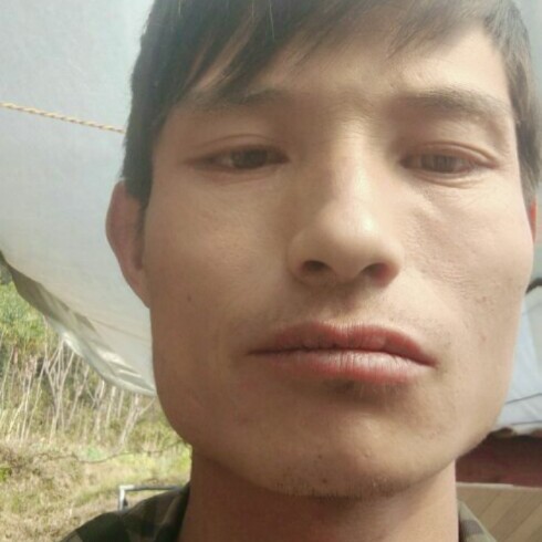 小白菜愿疯狂的照片