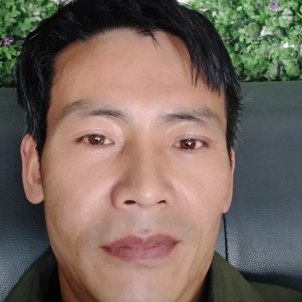 梦中蝶舞的照片